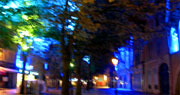 PLACE DE CYGNE